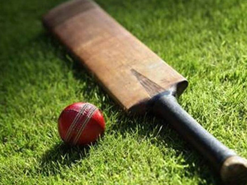 photo of cricket bat